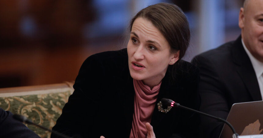 video oana toiu la forumul de la davos discutii despre securitate cu secretarul general al nato si presedintii poloniei si finlandei 6970c0f671183