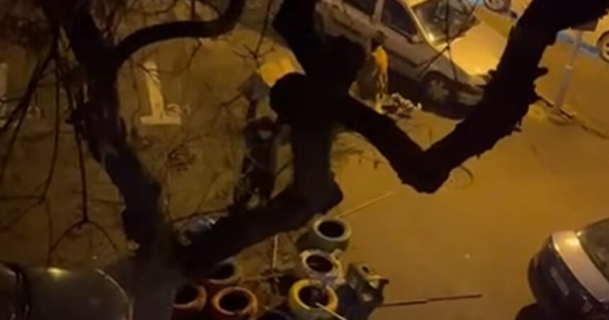 video un barbat e anchetat dupa ce a distrus mai multe casute pentru pisici in sectorul 3 imaginile au devenit virale pe internet 6971e837f334d