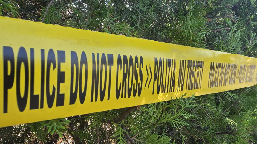 afacerist roman gasit mort in munti dupa doua saptamani de la disparitie trupul descoperit intr o zona acoperita de vegetatie densa din italia 69885a89497d2