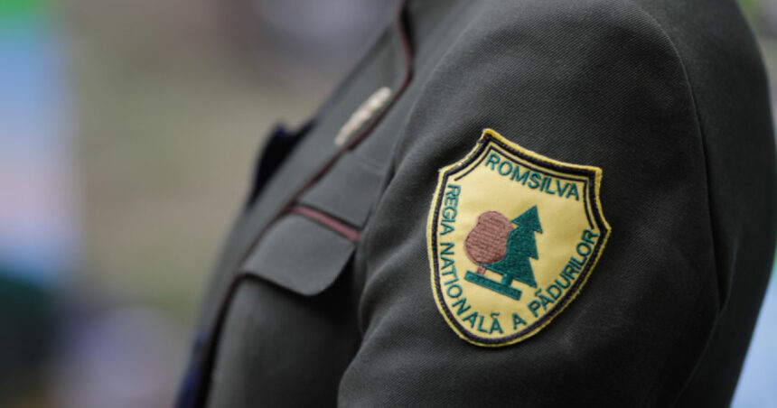 cand spera diana buzoianu sa fie adoptata reforma romsilva am ajuns intr un punct in care toate partidele suntem aliniate 698ee0a6c3b98