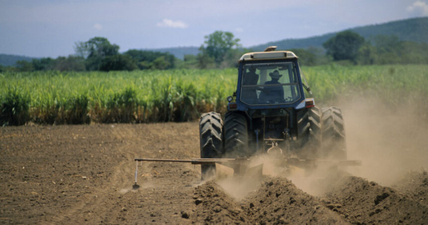 cooperativele agricole romanesti analizeaza modelul german de organizare si marketing 698af39436c37