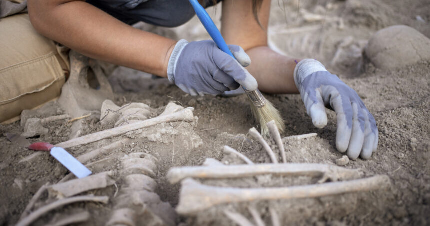 descoperire macabra in serbia 77 de femei si copii ucisi intr un masacru brutal si deliberat acum 2 800 de ani 69a2f608c65b2