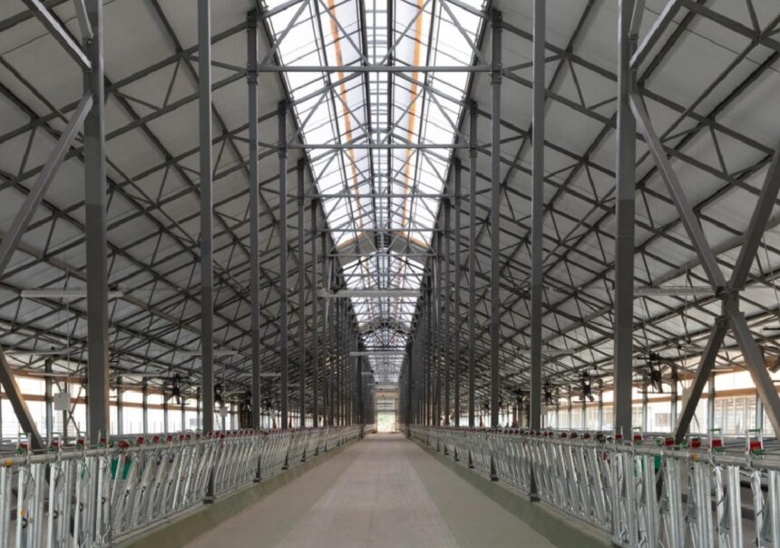 doua hale de productie vor fi construite in agigea de un investitor puternic prin doua firme diferite cine este acesta 697ed2cf9085a