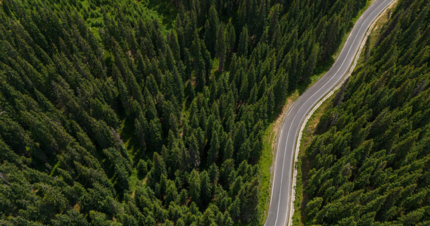 exclusiv impadurirea romaniei octavian berceanu pe terenuri sunt multi primari sau prieteni de ai lor care iau subventii de la apia 697f5d87675f6