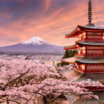 festivalul ciresilor infloriti din japonia anulat din cauza comportamentului turistilor care sunt problemele mentionate de autoritati 69907658b5a3e