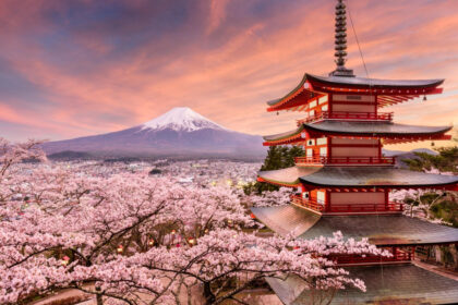festivalul ciresilor infloriti din japonia anulat din cauza comportamentului turistilor care sunt problemele mentionate de autoritati 69907658b5a3e