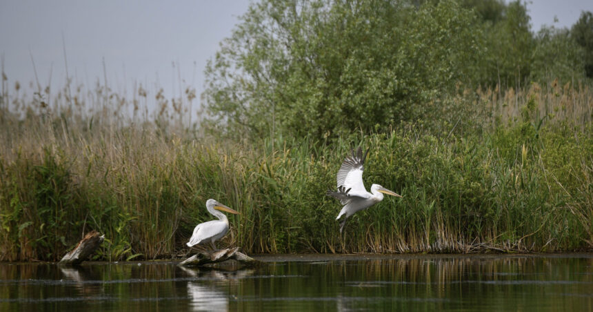irineu darau anunta actualizarea masterplanului pentru investitiile in turism realitatea din teren s a schimbat 6994e47e343ca