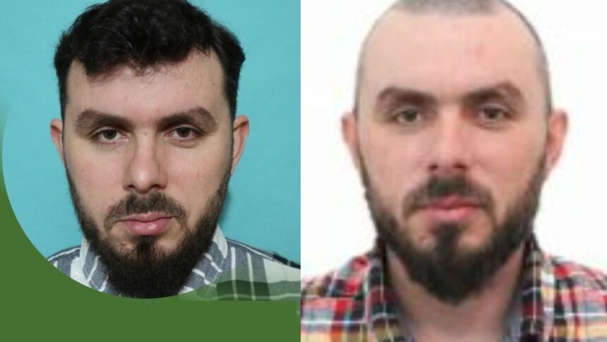 misterul cadavrului descoperit in madeira elucidat era un barbat din mangalia disparut din germania 699868f596130