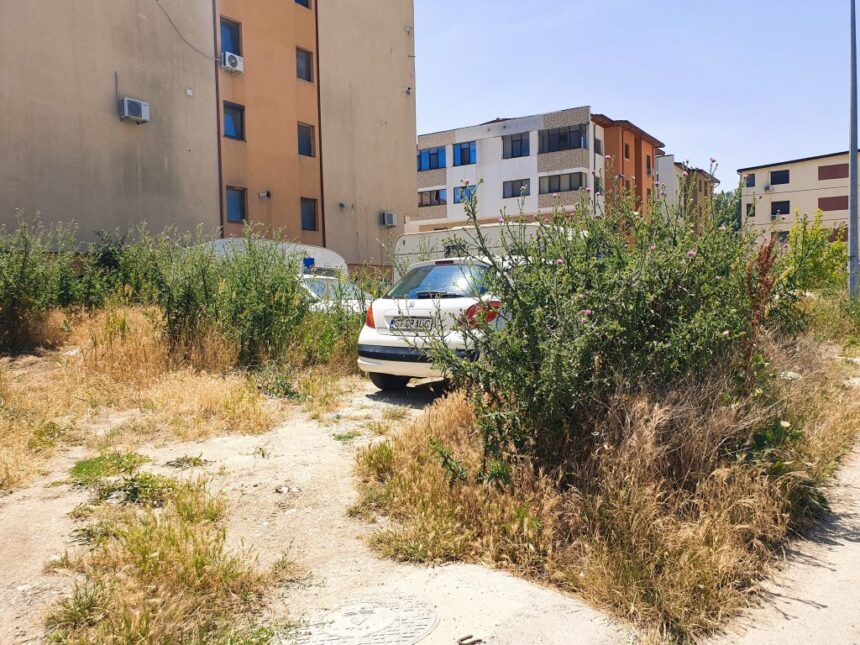 registrul spatiilor verzi din constanta cheia finantarii proiectului din zona compozitori 698b9f58d0c63