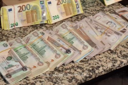terenuri de 5000 mp din mogosoaia legate de afaceristul mihai rotaru scoase la licitatie 6985246e24fb3