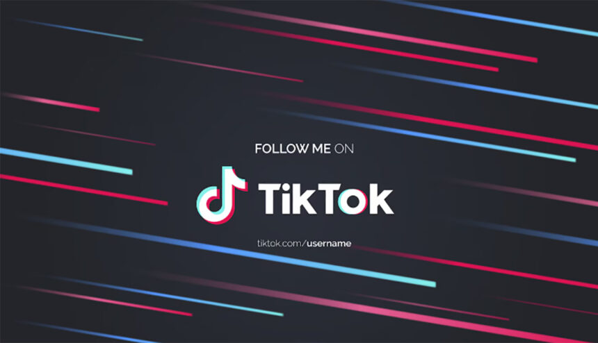 tiktok angajeaza romani care sa vaneze continutul violent care sunt candidatii ideali 69916e678d6a4