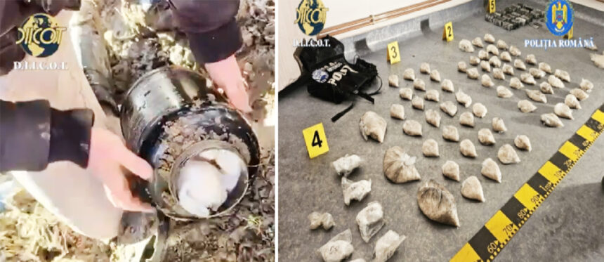 video mega lovitura diicot kilograme de cocaina si cristal ingropate de traficantii de droguri 699759b030ad6