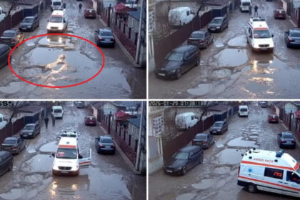 video sosele distruse localnici revoltati judetul in care o ambulanta in misiune s a rupt in gropile de pe drum a plecat stricata cu ea 6982ef98d70bb