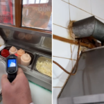 video trei fast food uri celebre din constanta inchise temporar de protectia consumatorilor horia constantinescu am declarat razboi snitelului de pui 69932d0bad3d3