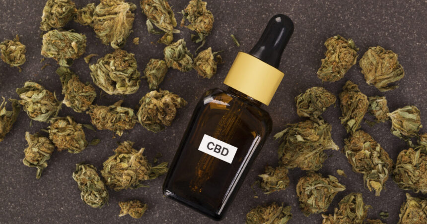 video un derivat din canabis incadrat ca aliment nou ue a stabilit care este nivelul sigur de consum 698c532055d95