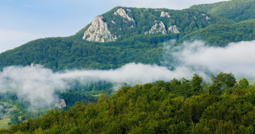 video zacaminte de minerale rare descoperite in apuseni o companie canadiana a gasit uraniu cobalt si nichel 698378d824f8a