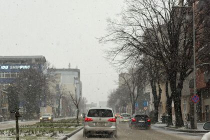 vine viscolul in dobrogea meteorologii anunta vant puternic ploi si ninsori 6998423e993f6