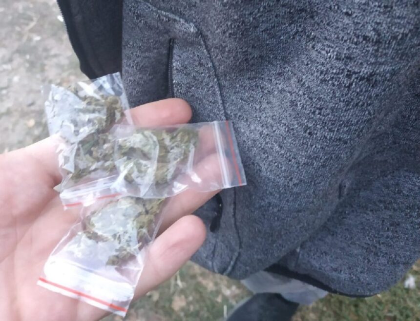 afaceri in fata hotelului malibu de la intrare in mamaia declaratia completa a unui traficant de la telegram la 200 de lei gramul 69a9617f3d450