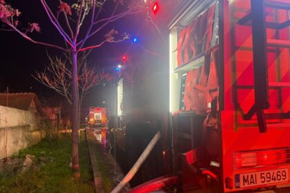 alerta in satul dunarea comuna seimeni o casa a luat foc 69a5f6384727d
