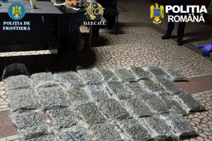 captura uriasa de droguri la vama un italian prins cu zeci de kilograme de canabis ascunse in trolere 69c170fddf18e