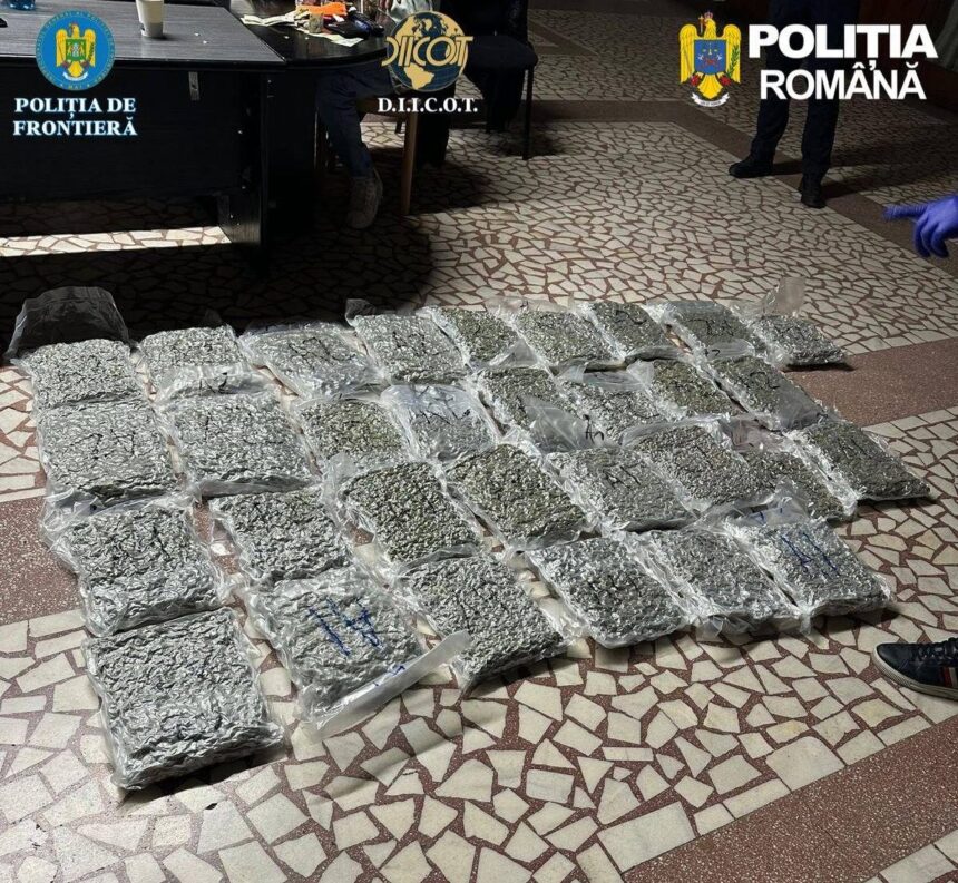 captura uriasa de droguri la vama un italian prins cu zeci de kilograme de canabis ascunse in trolere 69c170fddf18e