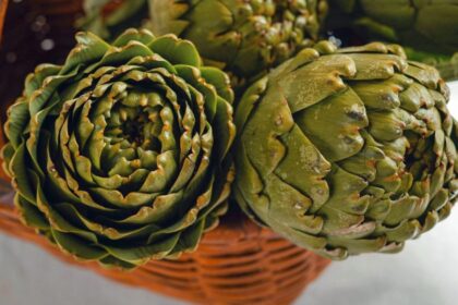 cele mai bogate surse naturale in antioxidanti 69adb63b3a681