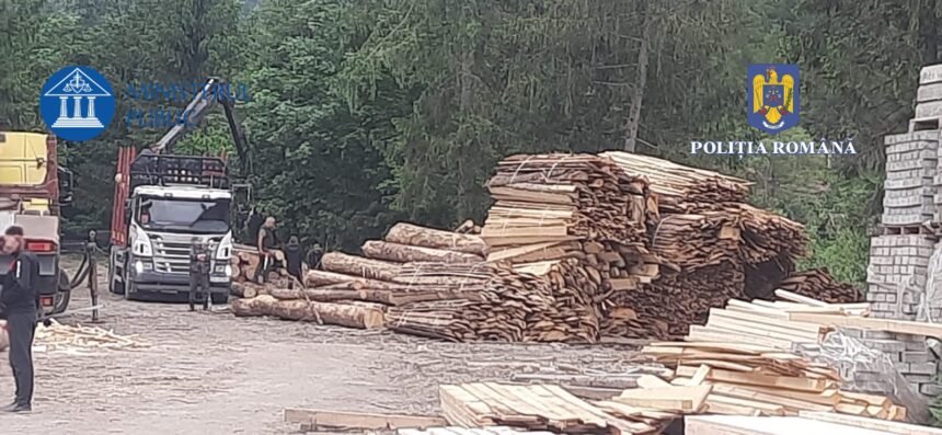 consiliul judetean constanta ar putea deveni parte civila intr un dosar de furt de lemn din padurea coslugea 69c07af8b64cc