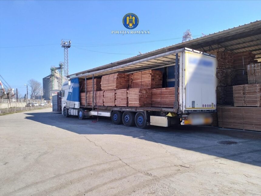 descoperire surpriza in portul constanta politistii au deschis un dosar penal iata despre ce este vorba 69b2a6c11e434