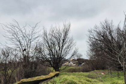 foto incredibil alesi locali din lumina cu sere si constructii ilegale pe un teren care nu le apartine e al comunei 69b8535e4e823