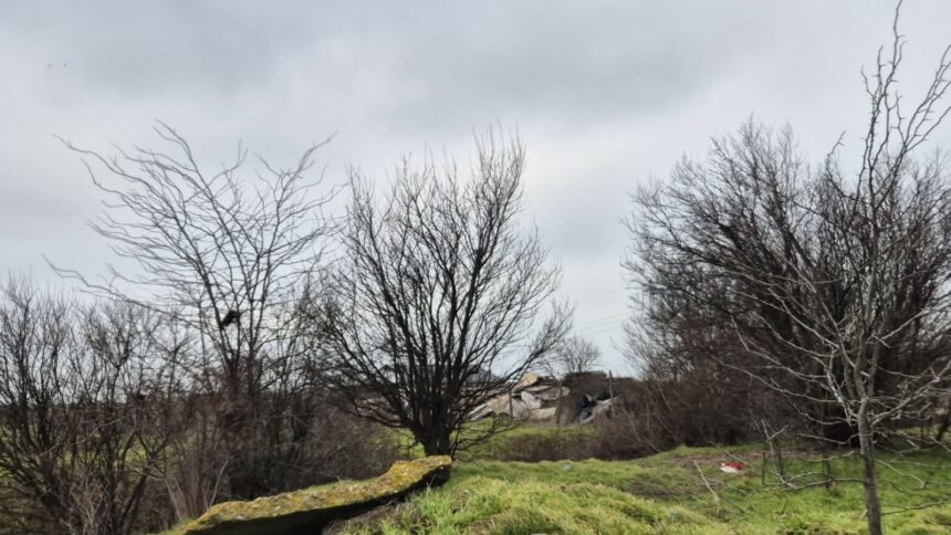 foto incredibil alesi locali din lumina cu sere si constructii ilegale pe un teren care nu le apartine e al comunei 69b8535e4e823