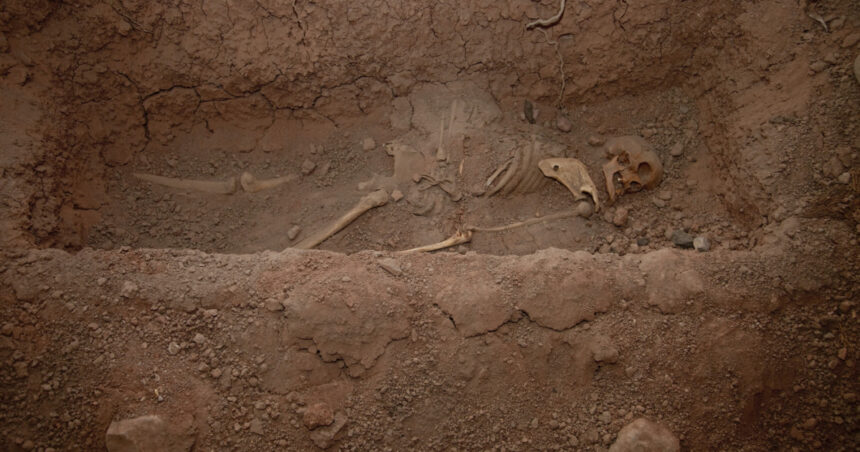 foto lacate la picioare si seceri la gat pentru a impiedica mortii sa iasa din morminte practici medievale descoperite int un stat european 69bf94b9d38f6