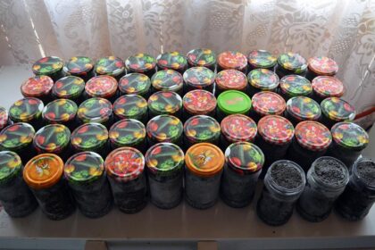 foto video perchezitii la braconierii de sturioni icre negre de 150 000 de lei confiscate de jandarmii constanteni 69b15c305f8b3