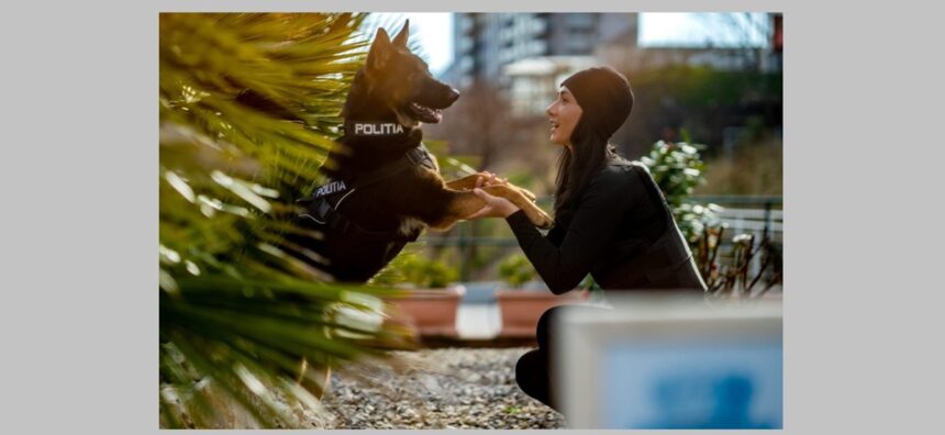 gabriela stancu si sky echipa ipj constanta cu un fler infailibil care intervine cand copiii s au ratacit ori varstnicii nu mai gasesc drumul spre casa 69a8105730ba7