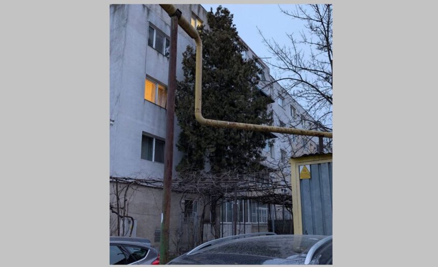 incredibil pisicutele din constanta au oprit un jaf in desfasurare cum a fost posibil 69b59704ab4b7