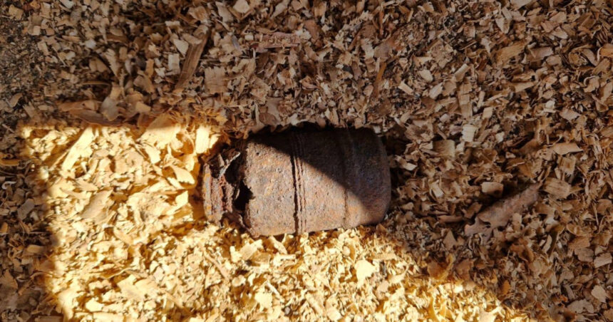 o grenada a fost gasita de un localnic din harghita in propria curte 69b547e015da2