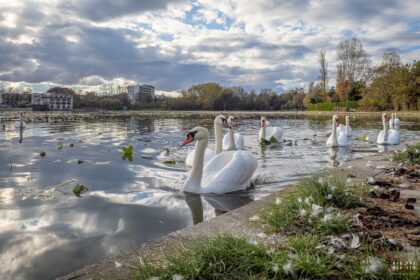 puz ul companiei pontoane ro pentru investitia de pe lacul neptun publicat in transparenta decizionala de primaria mangalia cazare in varianta lacustra si agrement nautic 69bbe1389b90d