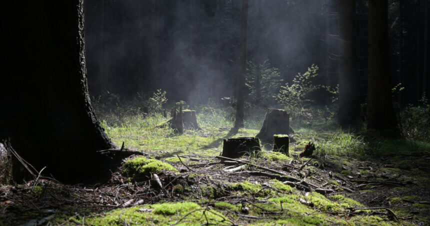 un teritoriu scufundat din europa era locuibil in era glaciara cercetatorii au gasit dovezi de viata 69c36d18297be