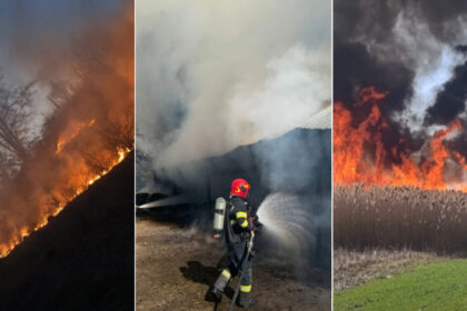 video barbat mort intr un incendiu de vegetatie in bihor peste 120 de hectare au fost cuprinse de flacari in weekend 69b81f9b02862