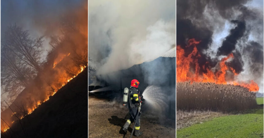 video barbat mort intr un incendiu de vegetatie in bihor peste 120 de hectare au fost cuprinse de flacari in weekend 69b81f9b02862