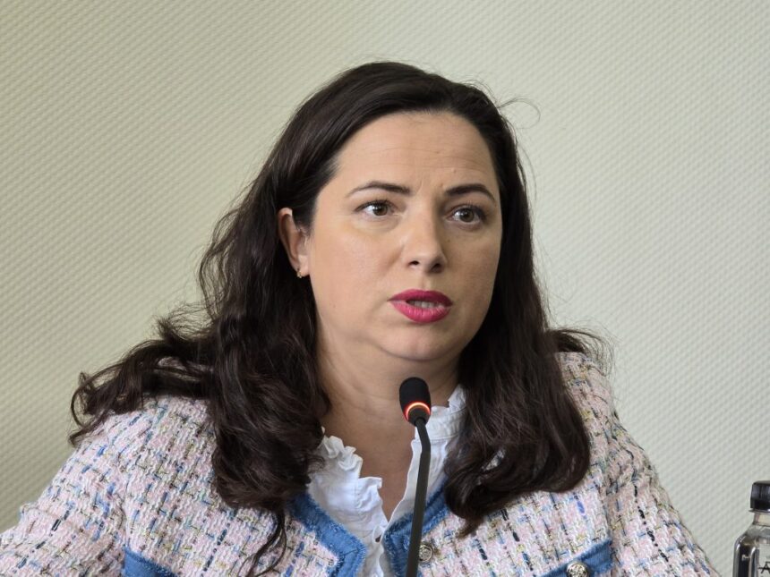 video consilierii judeteni au votat pentru reinfiintarea functiei de administrator public al judetului ionela costache propunerea lui florin mitroi 69ca294b1d12b