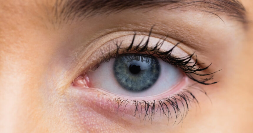 video cornee artificiala din solzi de peste testata ca alternativa mai ieftina la transplant in bolile grave ale ochiului 69b59fc35571b