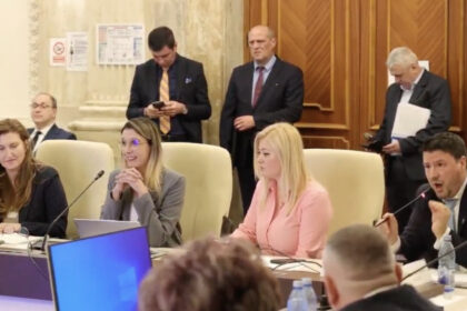 video daca tipati nu va creste barbatia atacuri in rafala la adresa dianei buzoianu la dezbaterea bugetului 69b974c67e046