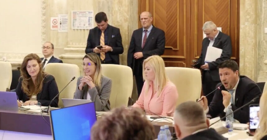 video daca tipati nu va creste barbatia atacuri in rafala la adresa dianei buzoianu la dezbaterea bugetului 69b974c67e046