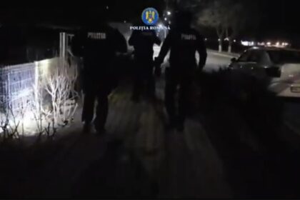 video descinderi in patru judete intre care si constanta intr un dosar privind eutanasierea ilegala a cainilor fara stapan 69a93f076432a