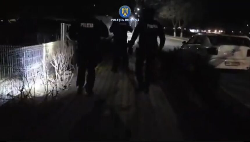 video descinderi in patru judete intre care si constanta intr un dosar privind eutanasierea ilegala a cainilor fara stapan 69a93f076432a