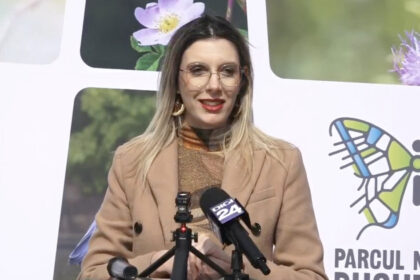 video diana buzoianu padurea baneasa poate fi parc natural arie protejata cand vom avea documentele ministerul mediului va face acest pas 69bea203a6842