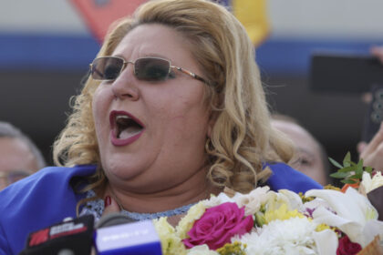video diana sosoaca audiata in parlamentul european se decide daca ii va fi ridicata imunitatea pentru a fi anchetata in romania 69c2ecfc0ec62
