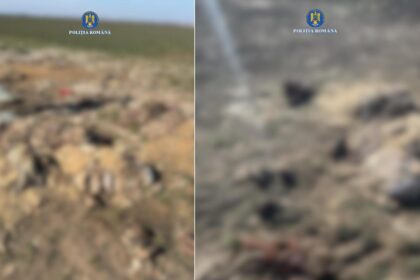 video politistii ancheteaza un alt caz de resturi animale abandonate pe camp de data aceasta la lumina 69b3ee2540f71