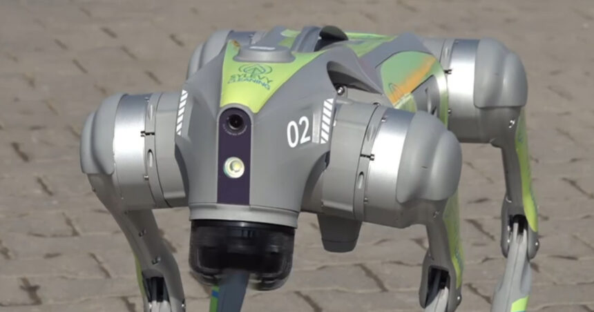 video primul oras din romania unde robotii cu ia vor ajuta la curatenie proiect de 1 milion de euro 69adbdcaa1fe8