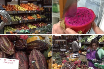video romanii au prins gustul fructelor exotice cum s au transformat aprozarele clasice in afaceri cu rambutan jackfruit sau mangustan 69b7b62999e4d